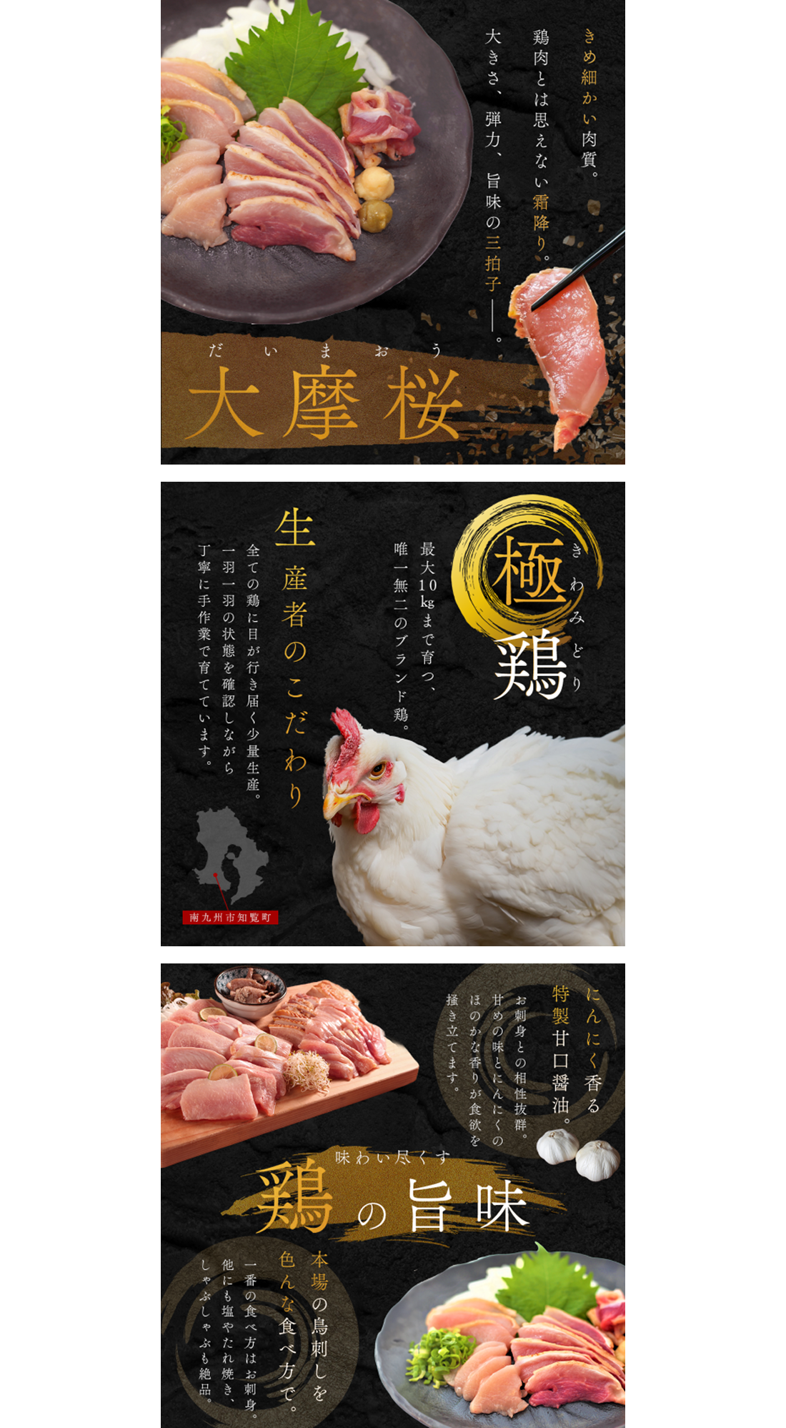 大摩桜様バナー